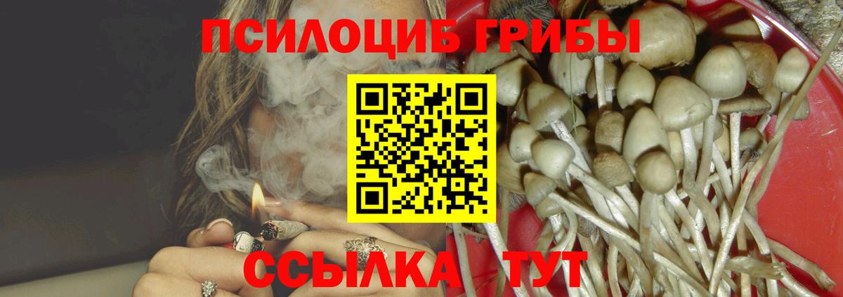 Гулькевичи  Галлюциногенные грибы Psilocybine cubensis  Псилоцибиновые грибы GOLDEN TEACHER  где можно купить   Вход с VPN 